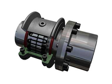 Falk聯軸器-Steelflex-T35